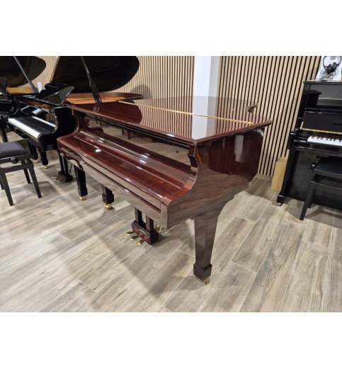 Wendl & Lung 178 Professional II (2006) - Occasion